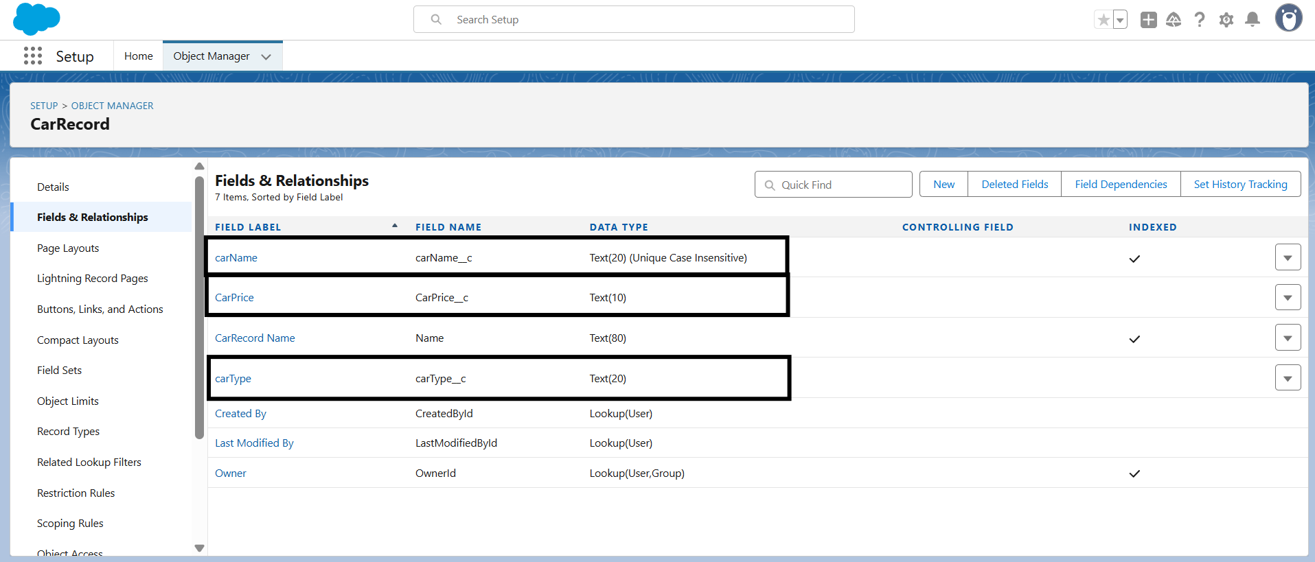 carName__c, carPrice__c, and carType__c