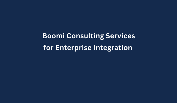Boomi Consulting Services for Enterprise Integration 