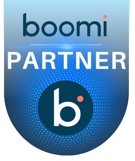 Boomi Partner