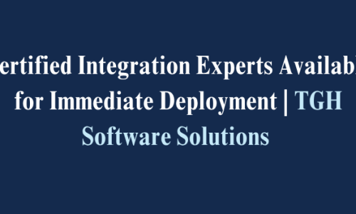 Partner With TGH for Your Next Integration Project